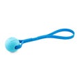 Element BioThane Dog Tug Toy – Ball Tug for Fetch & Training