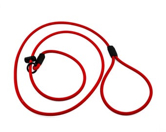 BioThane® Rope Slip Leash, Dog Training Leash, Waterproof, Durable