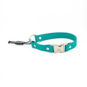 Atlas BioThane® E-Collar Strap, 1 Inch Wide, Quick Release, Bungee