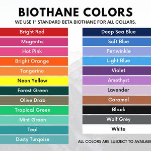 K&ouml;nnte beinhalten: Eine Tabelle, die die verschiedenen Biothane-Farben zeigt, die f&uuml;r Halsb&auml;nder verf&uuml;gbar sind. Die Farben umfassen leuchtendes Rot, Magenta, Pink, leuchtendes Orange, Mandarine, Neon-Gelb, Waldgr&uuml;n, Olivgr&uuml;n, Tropengr&uuml;n, Minzgr&uuml;n, T&uuml;rkis, staubiges T&uuml;rkis, Tiefseeblau, Hellblau, Periwinkle, Hellblau, Violett, Amethyst, Lavendel, Karamell, Schwarz, Wolfsgrau und Wei&szlig;. Der Text "WE USE 1" STANDARD BETA BIOTHANE FOR ALL COLLARS." befindet sich oben in der Tabelle. Der Text "ALL COLORS ARE SUBJECT TO AVAILABILITY." befindet sich unten in der Tabelle.