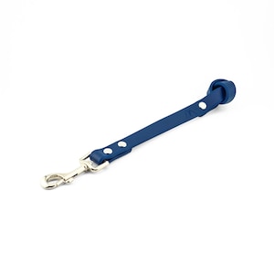 May include: A blue leather dog leash with a silver clip and a knotted handle.