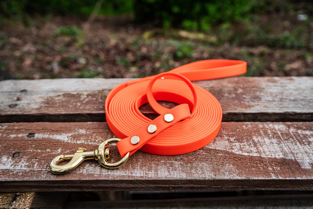 Element Biothane® Long Line, Extended Dog Leash, Long Dog Leash Etsy