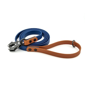 Atlas Two Tone BioThane® Lead, Customizable Dog Leash, Cleanable, Comfortable