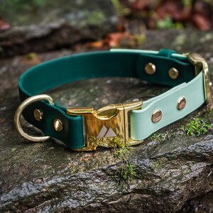 K&ouml;nnte beinhalten: Ein gr&uuml;nes und hellblaues Hundehalsband mit einer goldenen Schnalle und einem goldenen D-Ring. Das Halsband hat ein wei&szlig;es Berglogo auf der Schnalle.