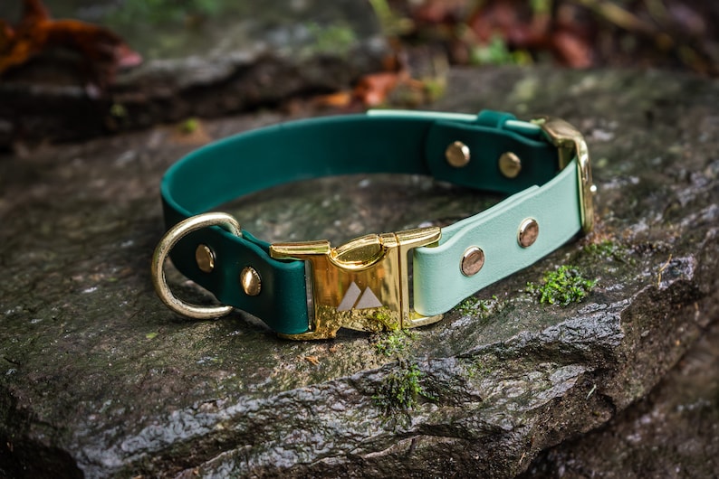 K&ouml;nnte beinhalten: Ein gr&uuml;nes und hellblaues Hundehalsband mit einer goldenen Schnalle und einem goldenen D-Ring. Das Halsband hat ein wei&szlig;es Berglogo auf der Schnalle.