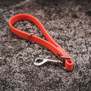 May include: A bright orange dog leash with a silver clip. The leash is made of a durable, flexible material.