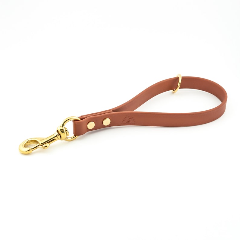 May include: A brown leather dog leash with gold hardware and a small gold ring. The leash is about 2 feet long.