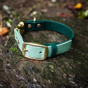 K&ouml;nnte beinhalten: Ein gr&uuml;nes und hellgr&uuml;nes Hundehalsband mit einer goldenen Schnalle. Das Halsband ist aus strapazierf&auml;higem Material gefertigt und perfekt f&uuml;r den t&auml;glichen Gebrauch.