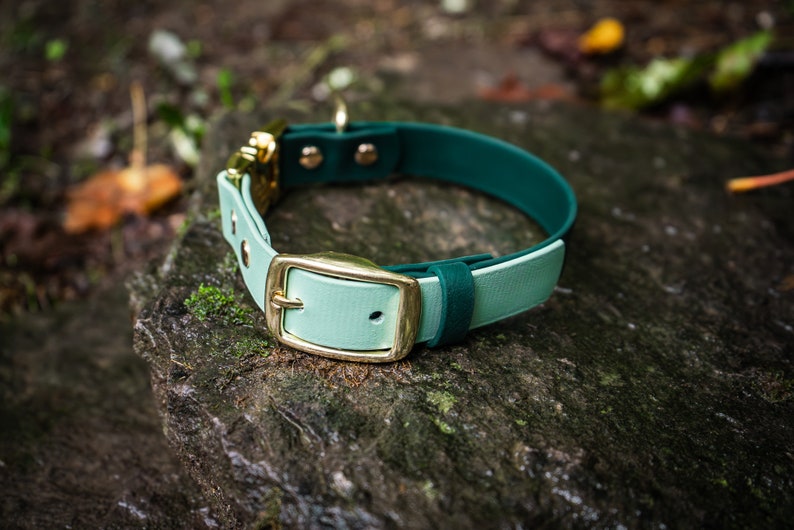 K&ouml;nnte beinhalten: Ein gr&uuml;nes und hellgr&uuml;nes Hundehalsband mit einer goldenen Schnalle. Das Halsband ist aus strapazierf&auml;higem Material gefertigt und perfekt f&uuml;r den t&auml;glichen Gebrauch.