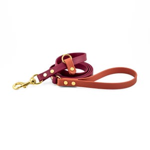 Voyager Two Tone BioThane® Lead, Dog Leash, Cleanable, Comfortable