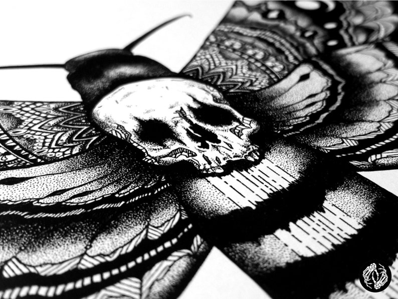 TÊTE papillon Art Print tête de mort Design Illustration | Etsy