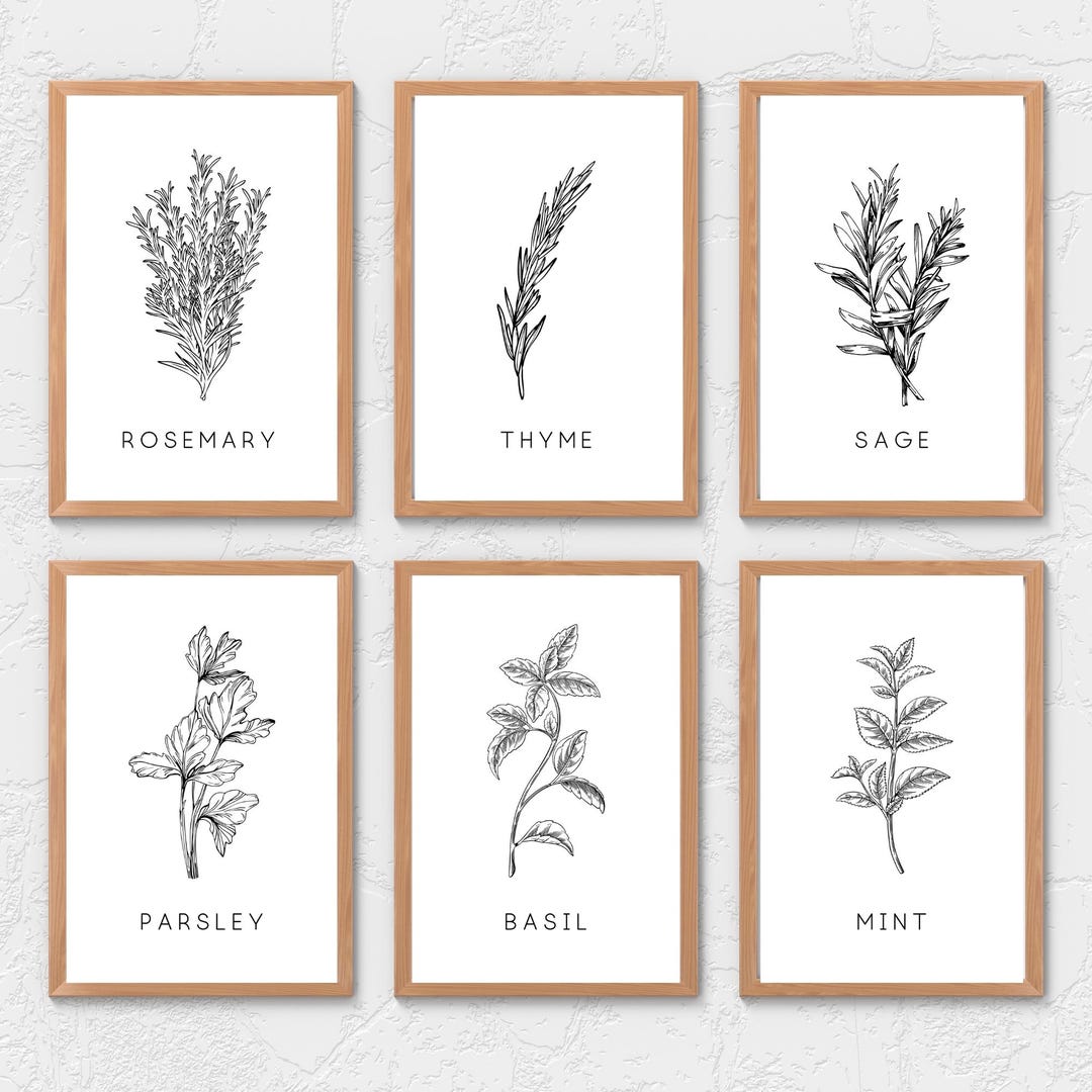 Printable Kitchen Wall Art Herbs and Spices Set of 6 | Simple Wall Art ...