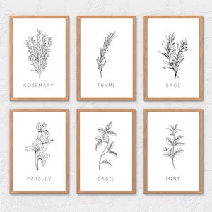 Printable Kitchen Wall Art Herbs and Spices Set of 6 | Simple Wall Art Prints | Modern Minimalistic Herbs Wall Art | Instant Download