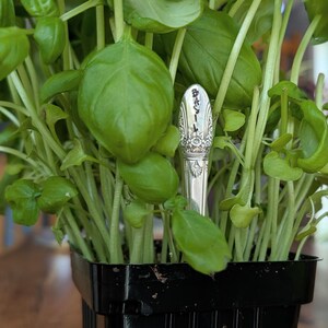 Marcadores de hierbas para jardín / Marcadores de jardín / Marcadores de plantas / Marcadores de cubiertos / Regalo para jardineros / Set de regalo / Regalo para mamá / Decoración de jardín imagen 5
