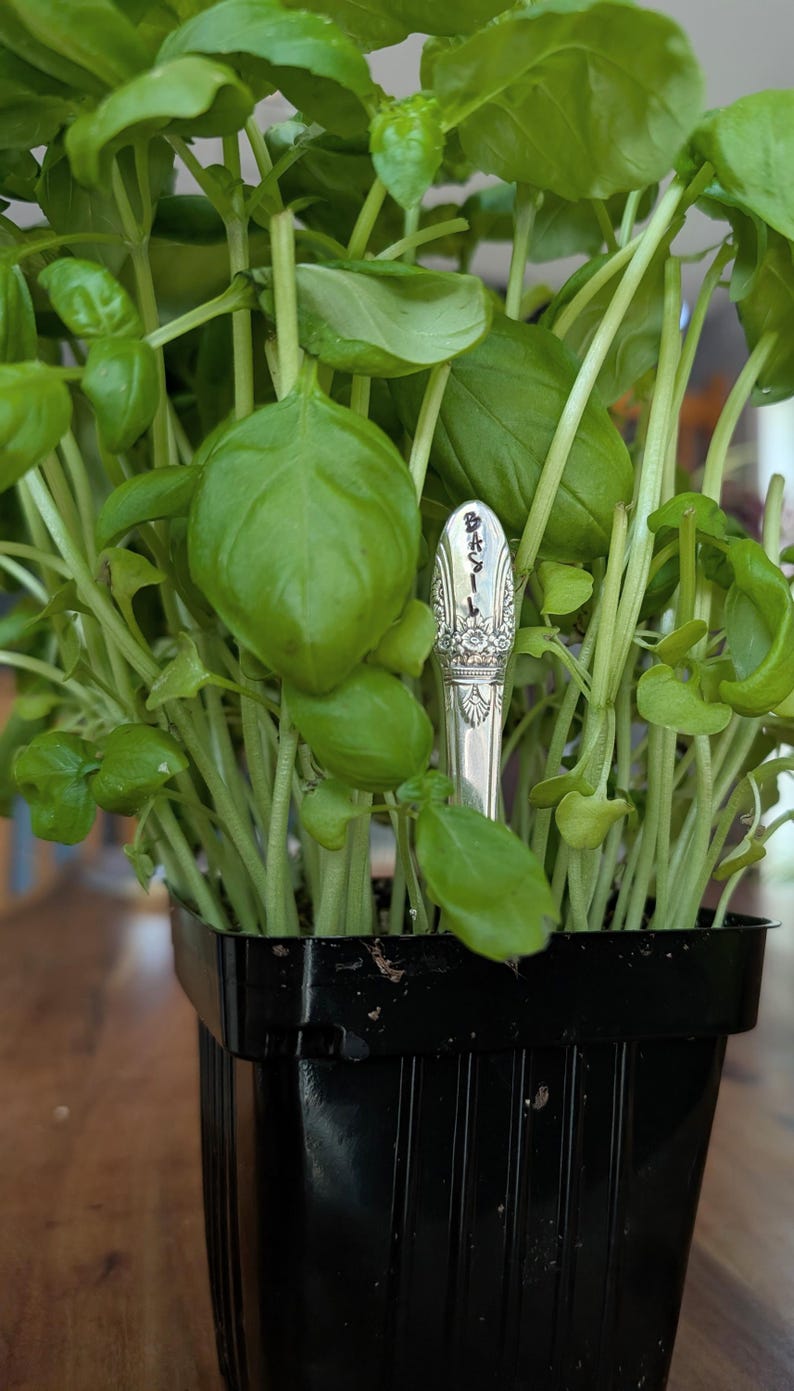 Marcadores de hierbas para jardín / Marcadores de jardín / Marcadores de plantas / Marcadores de cubiertos / Regalo para jardineros / Set de regalo / Regalo para mamá / Decoración de jardín imagen 5