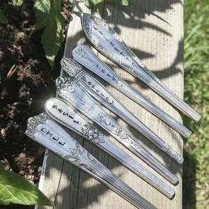 Puede incluir: Seis cucharas de plata con mangos adornados, cada una grabada con una palabra diferente: "LILA", "IVY", "ROSEMARY", "THYME", "BASIL" y "FHO".