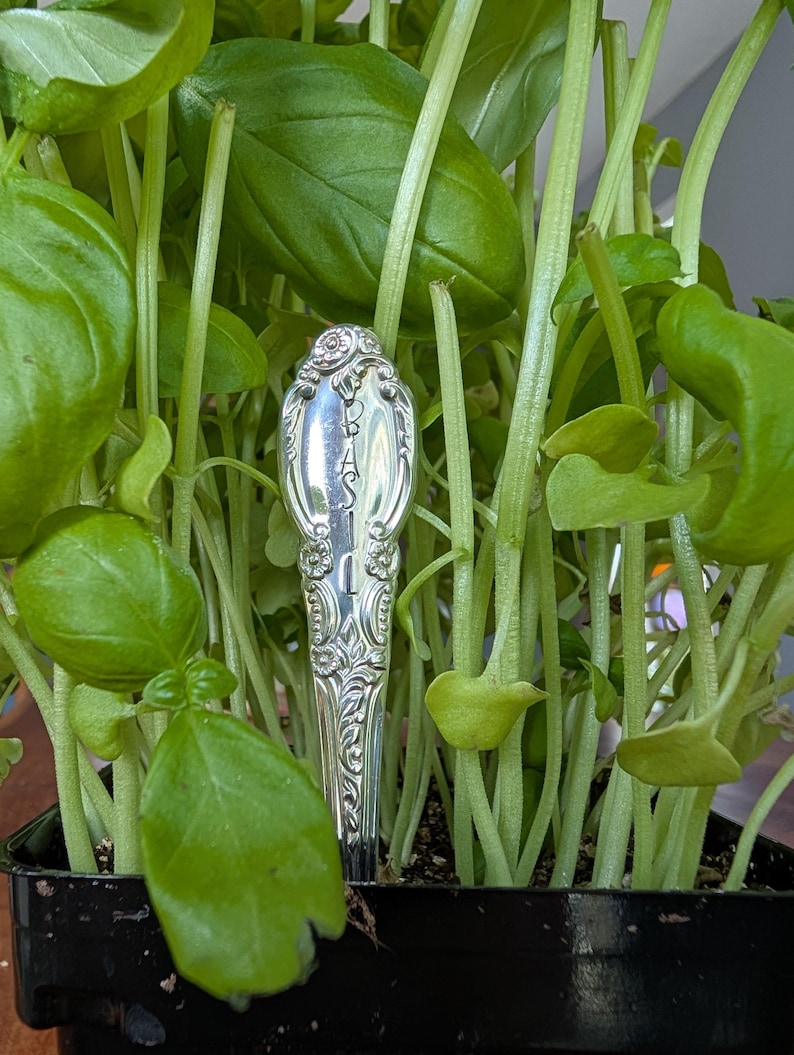 Marcadores de hierbas para jardín / Marcadores de jardín / Marcadores de plantas / Marcadores de cubiertos / Regalo para jardineros / Set de regalo / Regalo para mamá / Decoración de jardín imagen 3