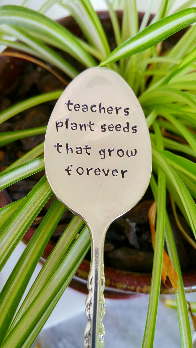Teacher's Plant Seeds That Grow Forever / Teacher Gift / Etsy