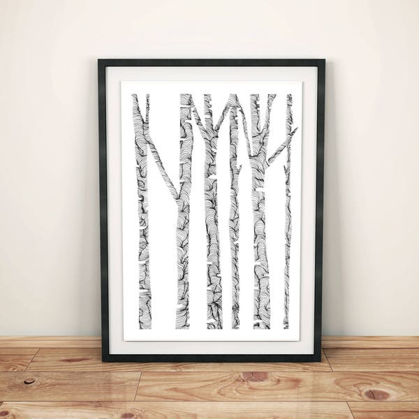 Birch Trees Print - 11x14