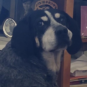 Touch of Love Keepsake