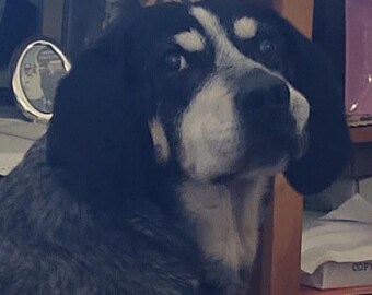 Touch of Love Keepsake