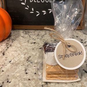 May include: A small clear plastic bag filled with a graham cracker, marshmallow, and chocolate square. The bag is tied with twine and a brown paper circle tag that says "Study Break!"