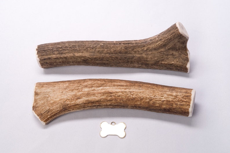 Xlarge whole Elk Antler Dog Chew Etsy