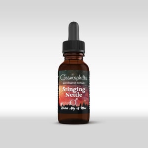 Teinture à base de plantes biologiques d'ortie piquante (Mars) | Magique | Herboristerie astrologique | Naturel | Effacer la stagnation | Courage | Dites votre morceau