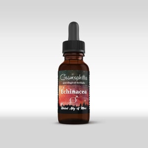 Tintura de ervas orgânicas de Echinacea (Marte) | Mágico | Astrológico | Astro Herbalismo | Intuição Intestino Ação Raiva Fogo Entusiasmo Novo começo