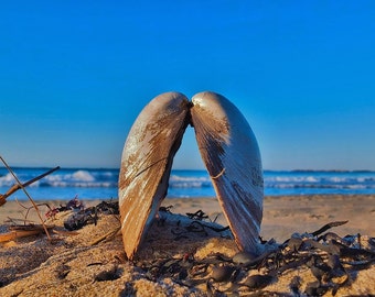This picture was taken on Popham Beach in Phippsburg, Maine.