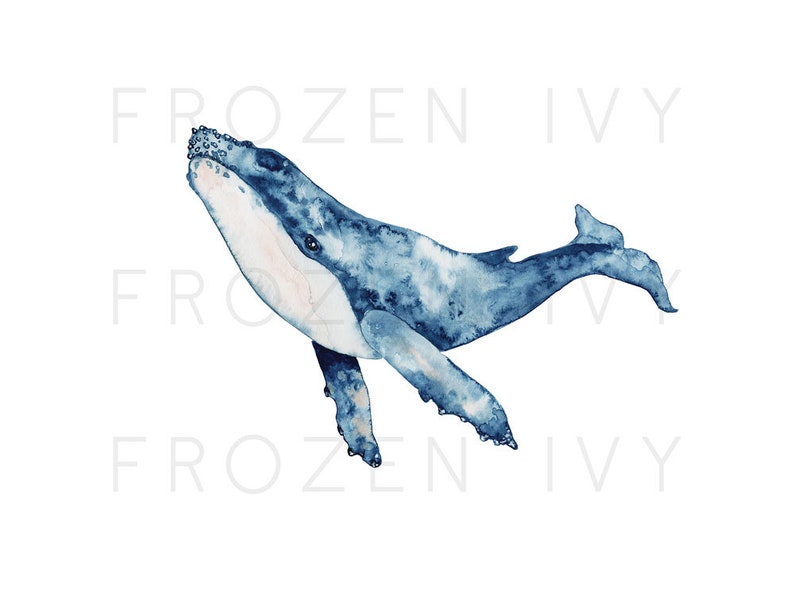 Humpback Whale Wall Art Printable Wall Art Ocean Life Home - Etsy