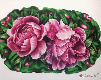 Peony Flower Print, Nature art, Flower art, Flower drawing