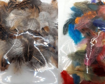 Barwione miniaturowe piórka do rękodzieła – dostępne w wielu stylach! – Naturalne i sztuczne kolory – CraftMedley