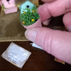 Puede incluir: Pequeño tiesto de terracota lleno de musgo verde y pequeñas flores amarillas. El tiesto se sostiene en una mano, con otros objetos en miniatura en el fondo, incluyendo pequeñas casitas para pájaros y un trozo de papel. Tema de casa de muñecas o jardín en miniatura.