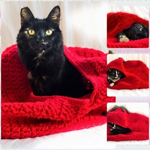 Fruity Pet Bed
