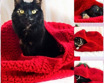 Fruity Pet Bed