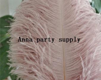 12 Pieces Blush Pink Ostrich Feathers 14-16 inches GA, USA