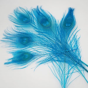 100 pcs 10-12inch turquoise peacock feather peacock tail feather