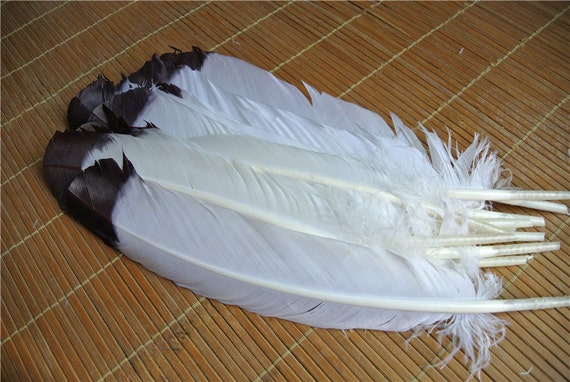 100 Pcs 12inch Turkey Feathers Turkey Round Quill Large Feathers for Supply  Decor Costume Supply 