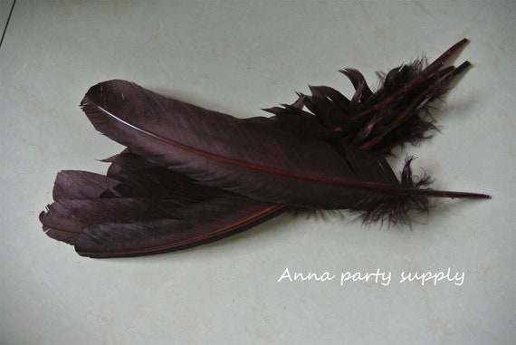 100 Pcs 12inch Dark Brown Turkey Feathers Turkey Round Quill Large Feathers  for Supply Decor Costume Supply 