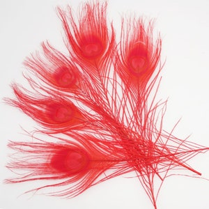 100 pcs 10-12inch red peacock feather peacock tail feather
