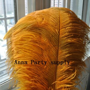 10-Piece Ostrich Feather Plumes For Wedding Decor, Costumes & Crafts - Available In 17 Vibrant Colors - Unbranded Bulk Pack