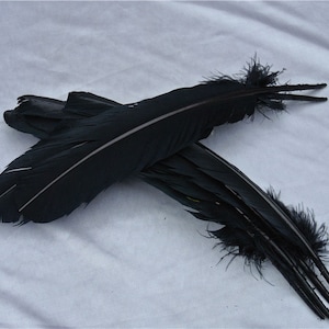 100 pcs  12inch black Turkey Feathers Turkey Round Quill Large Feathers  for supply decor costume supply