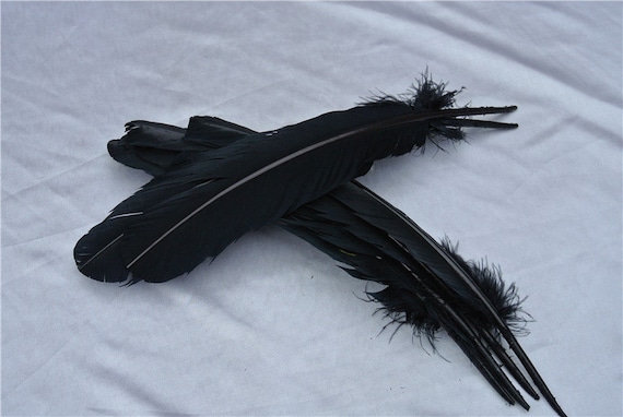 100 pcs  12inch black Turkey Feathers Turkey Round Quill Large Feathers  for supply decor costume supply