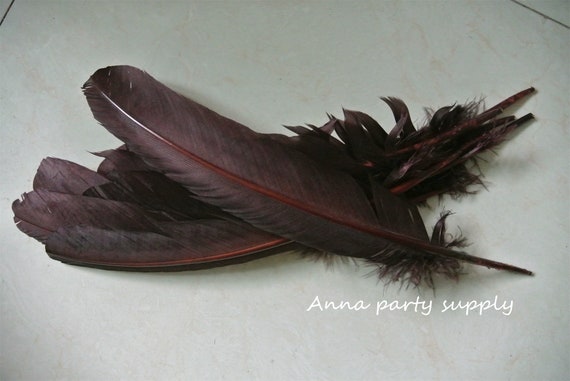 100 Pcs 12inch Dark Brown Turkey Feathers Turkey Round Quill Large Feathers  for Supply Decor Costume Supply 
