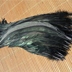 100 pcs black 12-14inch rooster feather loose cock feather loose for supply decor costume supply image 3