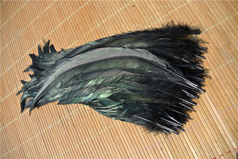 100 pcs black 12-14inch rooster feather loose cock feather loose for supply decor costume supply image 3