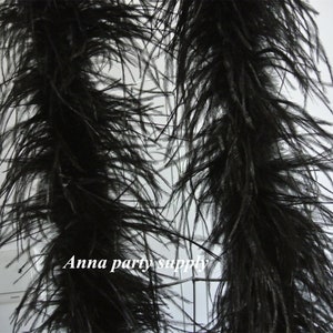 May include: Two long strands of black ostrich feathers. The feathers are soft and fluffy, and they are perfect for adding a touch of elegance to any project.