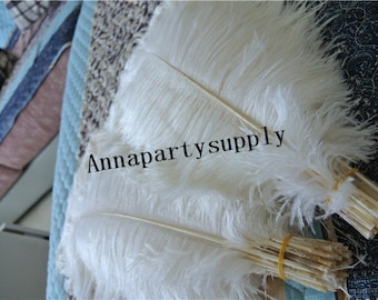 100 pcs white ostrich feather plume 5-24inches for wedding party supply wedding centerpiece
