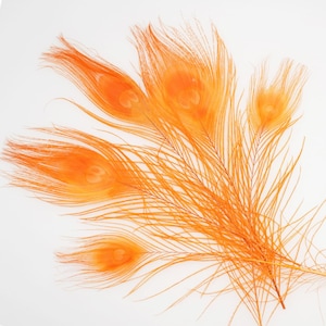 100 pcs 10-12inch orange peacock feather peacock tail feather
